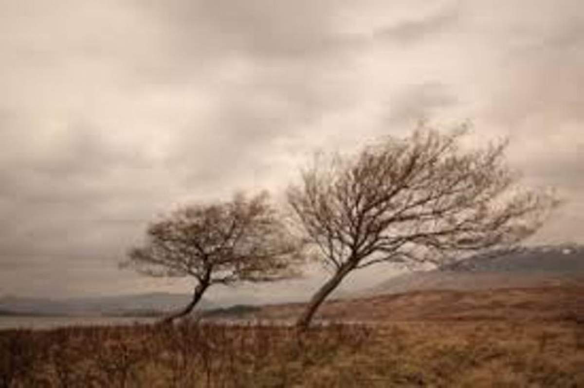 Anunţ necruţător făcut de meteorologi! Vijelia pune stăpânire pe Bucureşti! Vezi care sunt celelalte judeţe afecate