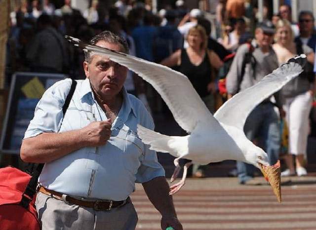 O imagine face cât o mie de cuvinte! Urmăreşte o serie de fotografii făcute la momentul potrivit