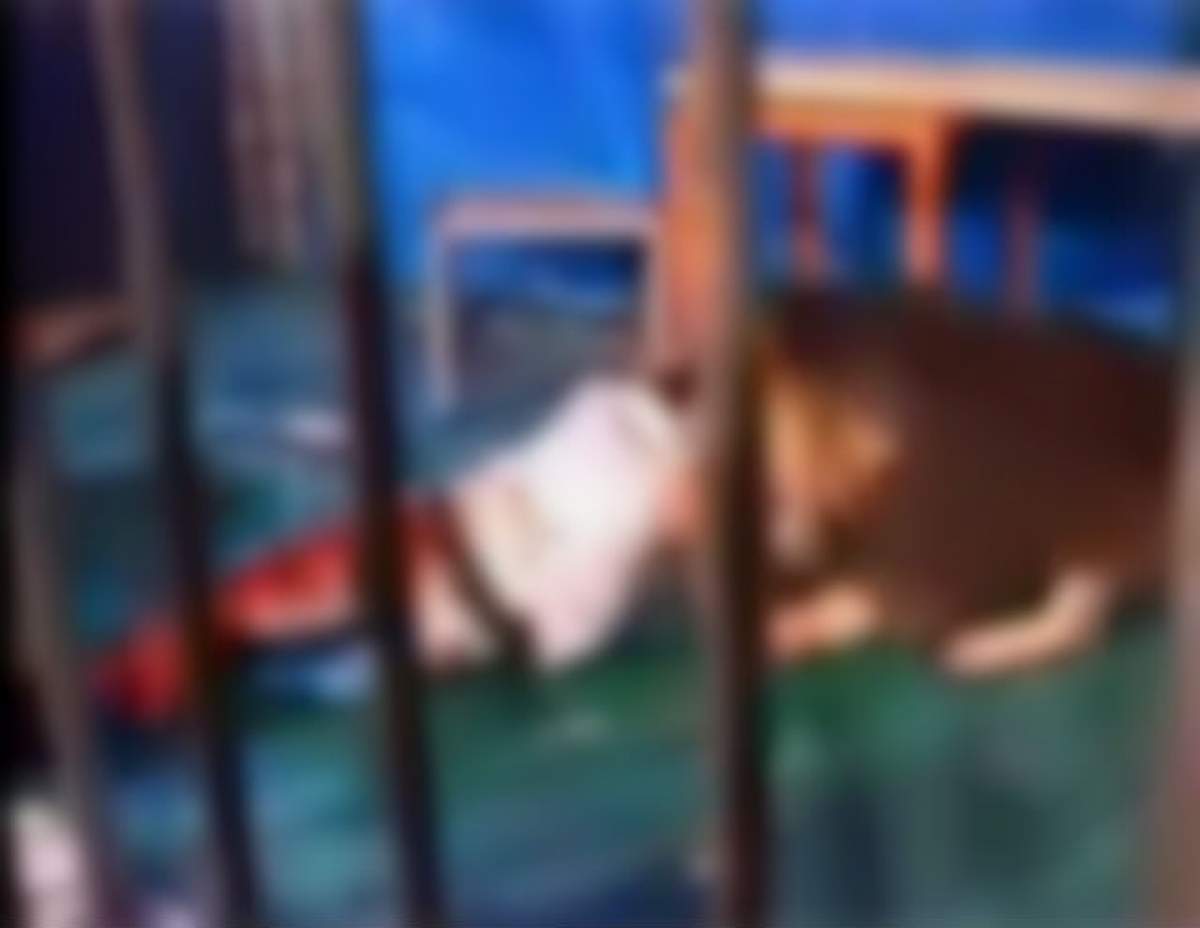 VIDEO ŞOCANT 18+ ! Un leu devorează de viu un îngrijitor de la zoo! Atenţie, imaginile te pot afecta emoţional!