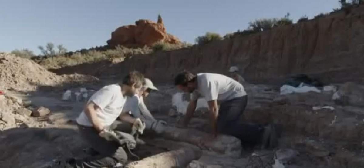 VIDEO Au fost descoperite oasele celui mai GREU dinozaur! Rămăşiţele gigantului te vor lăsa fără grai!