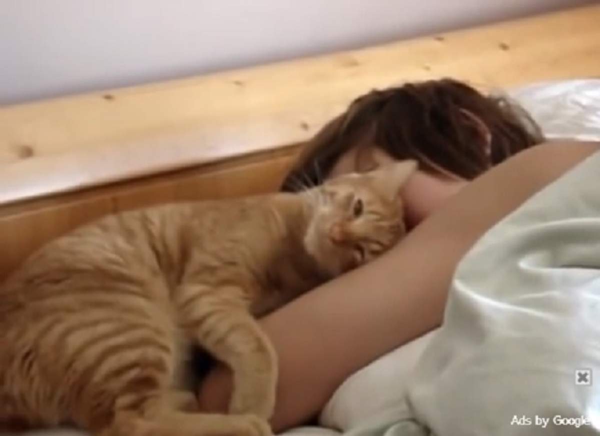 VIDEO E cea mai drăgăstoasă pisică pe care ai văzut-o! Ce îi face stăpânului adormit!