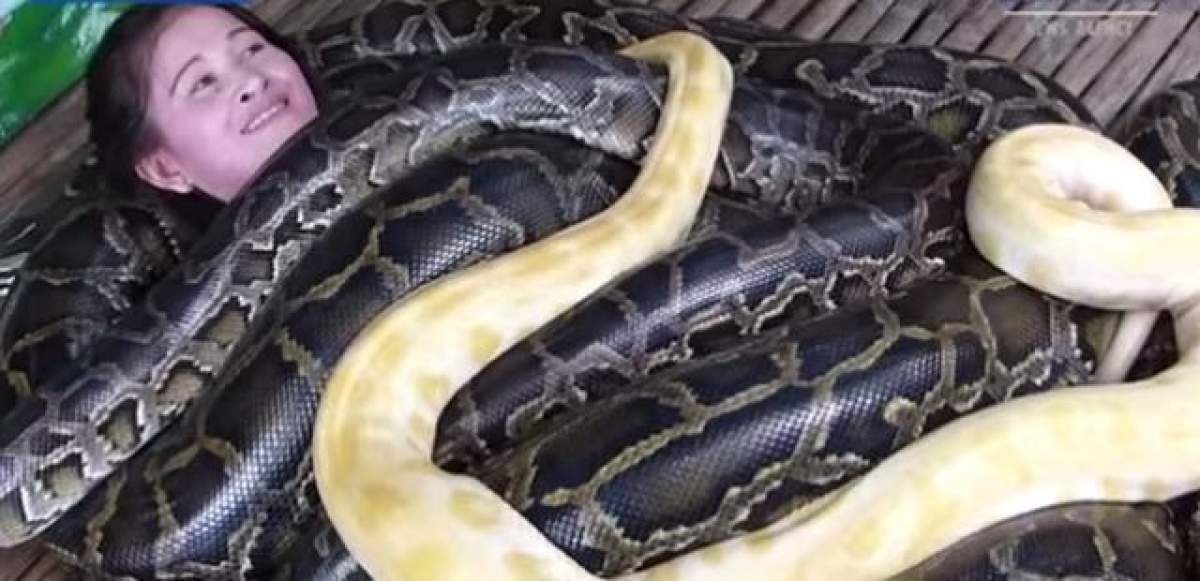 VIDEO ŞOCANT! Şedinţe de masaj cu şerpi în loc de uleiuri