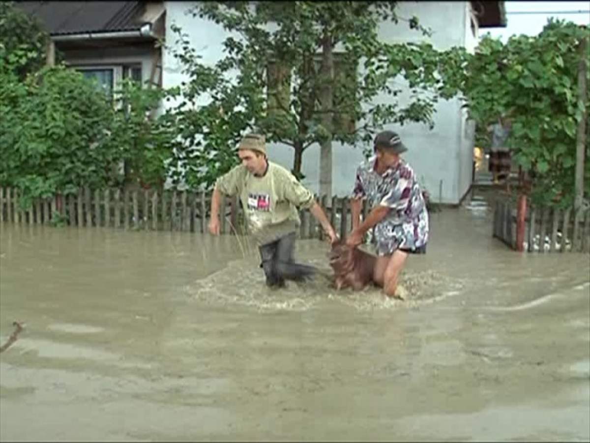 PRĂPĂD în România! Furtunile de noaptea trecută au făcut RAVAGII!