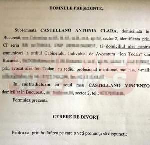 AVEM DOVADA! Antonia i-a minţit pe judecători! La ce manevră a recurs vedeta ca să ţină procesul cu Vincenzo în România!
