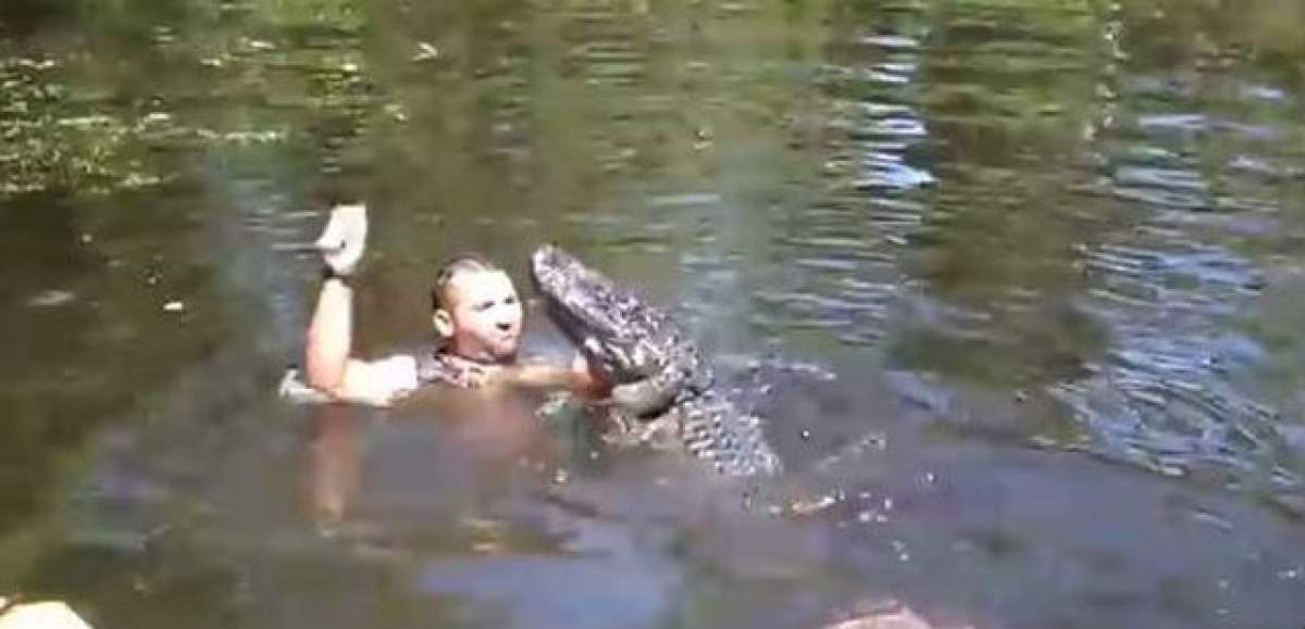 VIDEO Nebunie curată! Le-a dat aligatorilor să mănânce din gura lui!