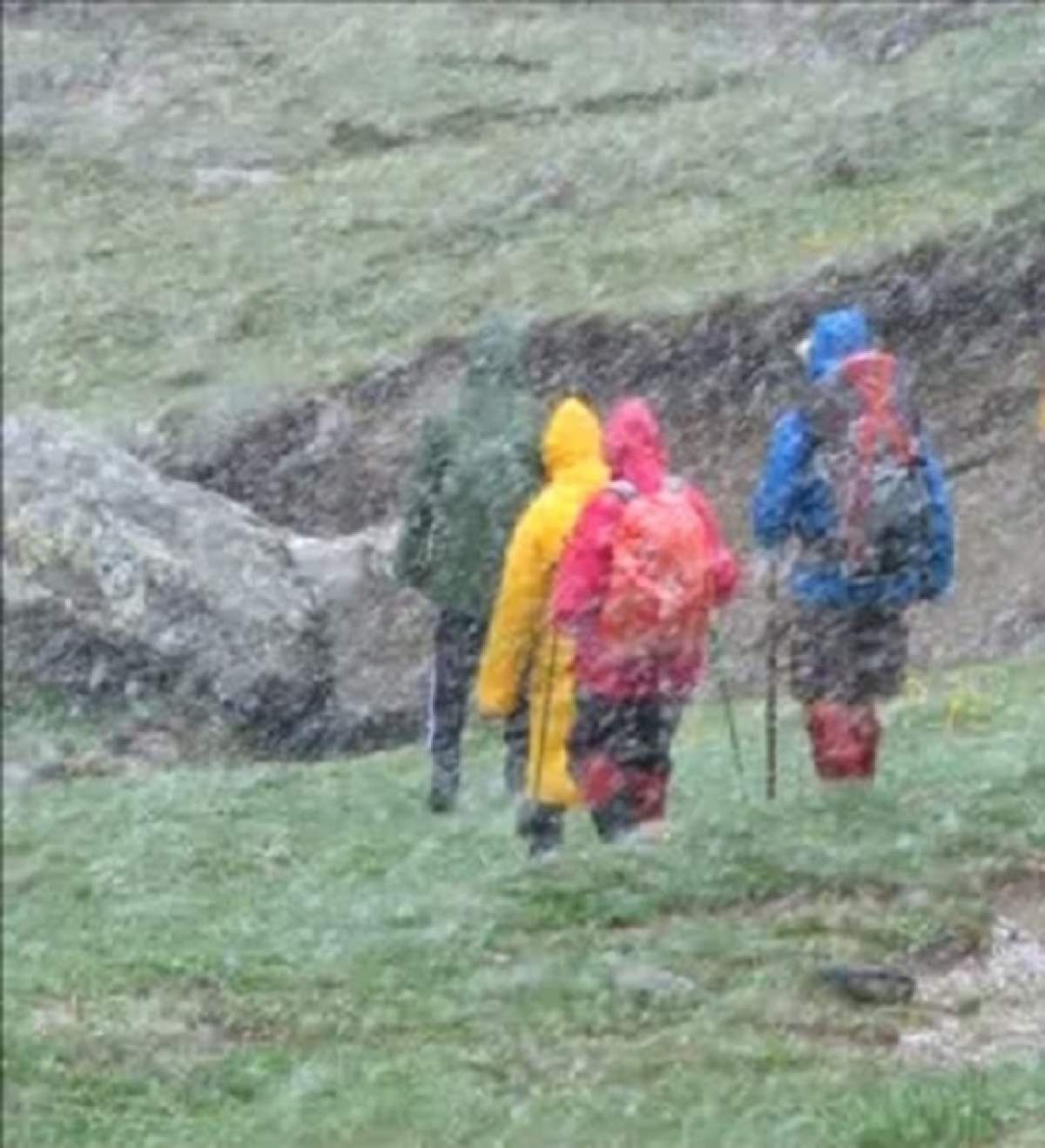 Pare IREAL! Ninsoare viscolită în România, la sfârşitul lunii INUNIE!