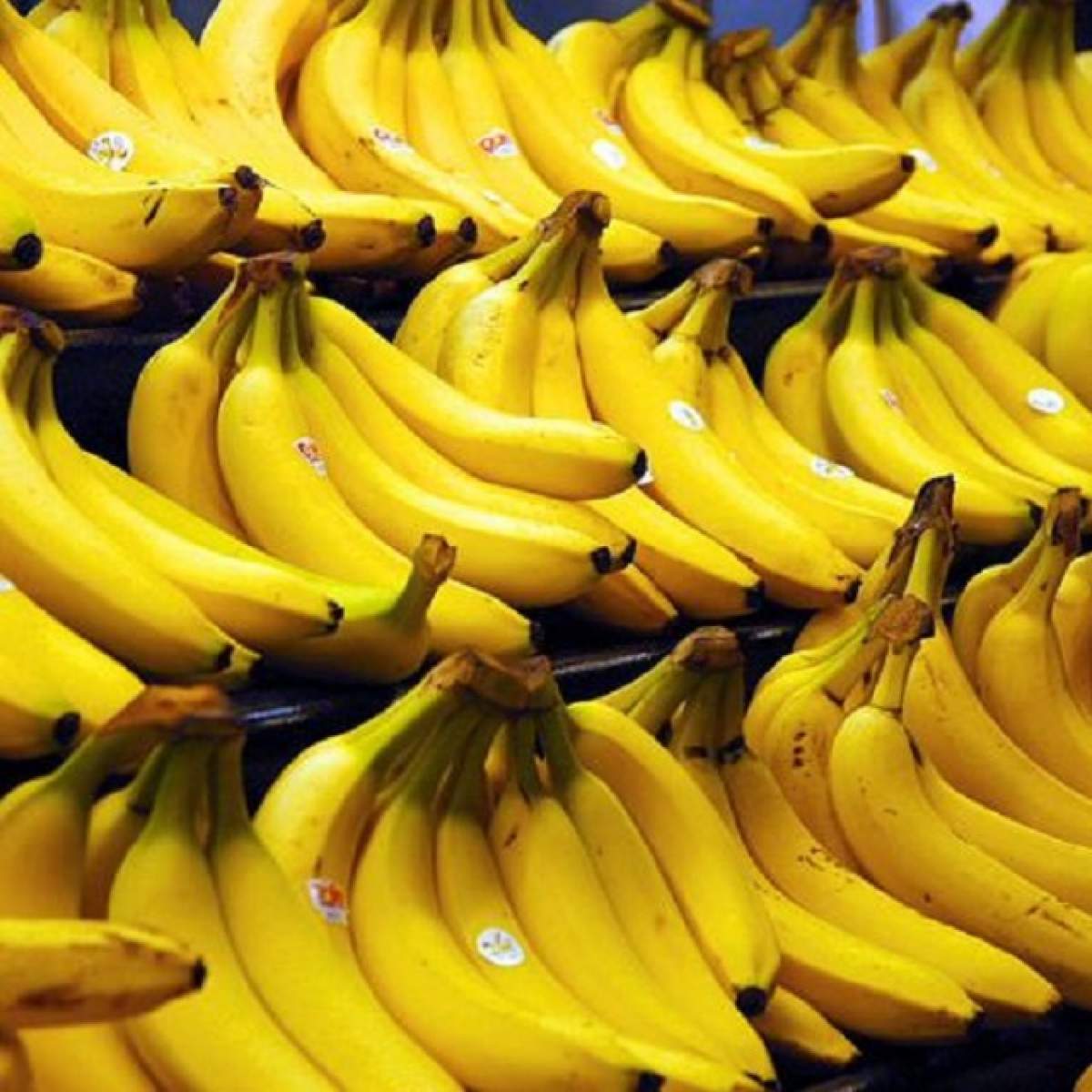 VIDEO Înfricoşător! Ce a găsit un bărbat într-o ladă cu banane