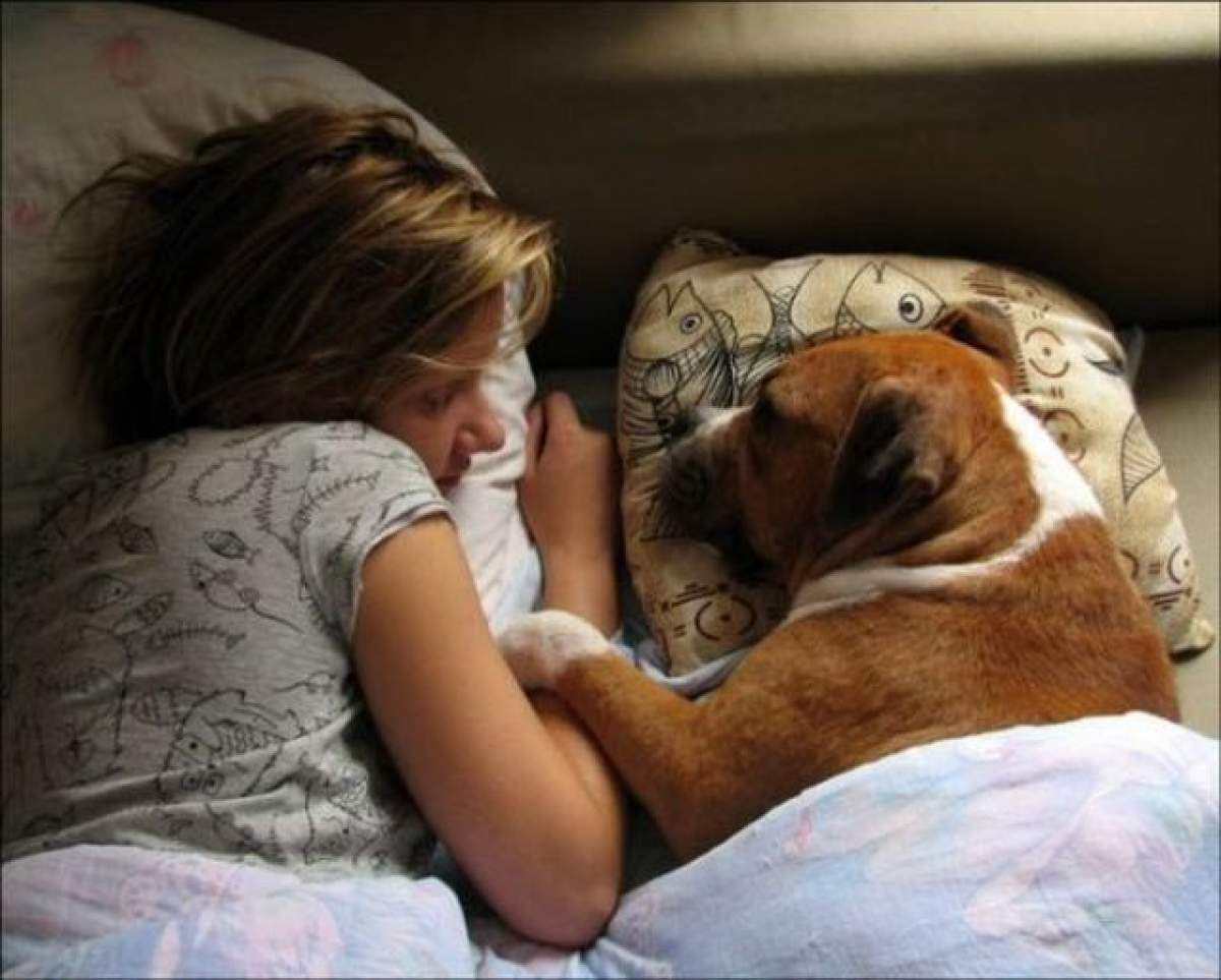 Obişnuieşti să dormi cu animalul tău de companie? Ar trebui să citeşti asta