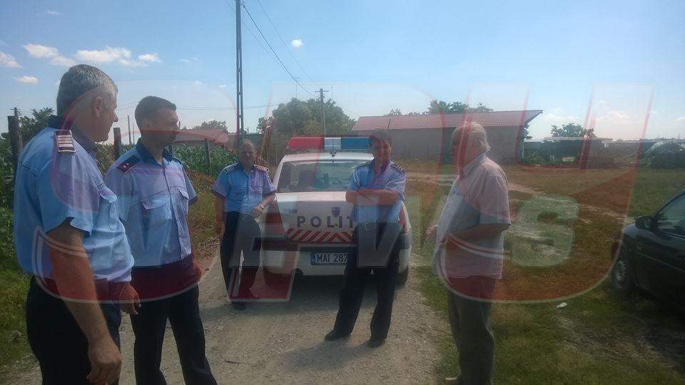 INCREDIBIL Se întâmplă în România! I-au furat casa cu totul şi au plantat porumb în locul ei!