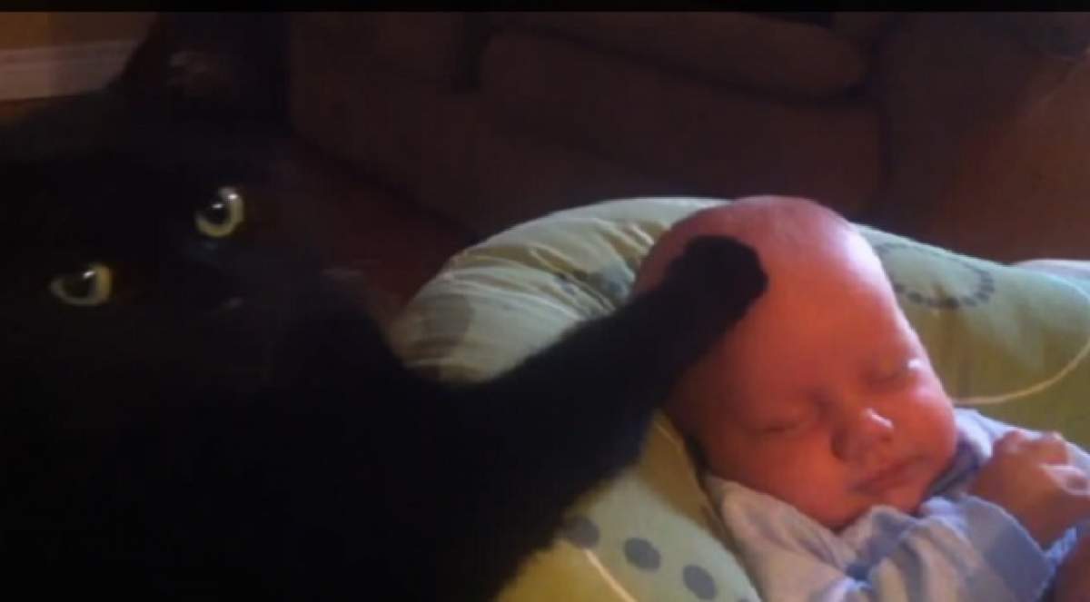 VIDEO E incredibil ce-i face o pisică acestui bebeluş! Reacţia lui e uimitoare