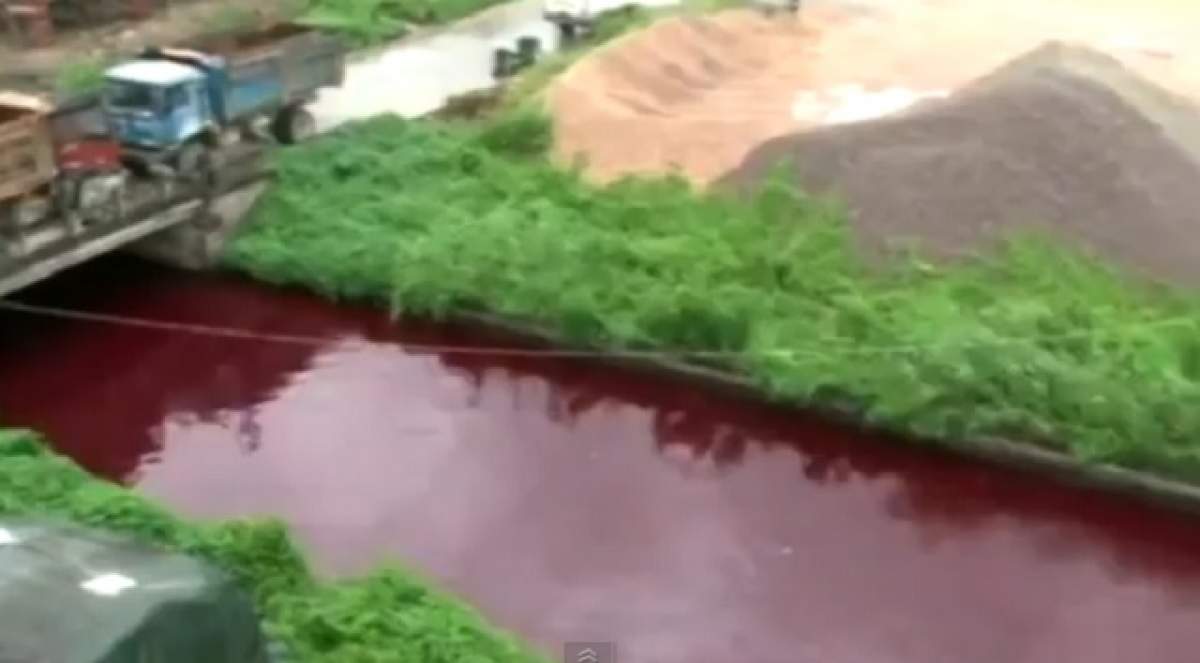 VIDEO Un râu de "sânge"! Oamenii au rămas înmărmuriţi când s-au văzut invadaţi de "marea roşie"