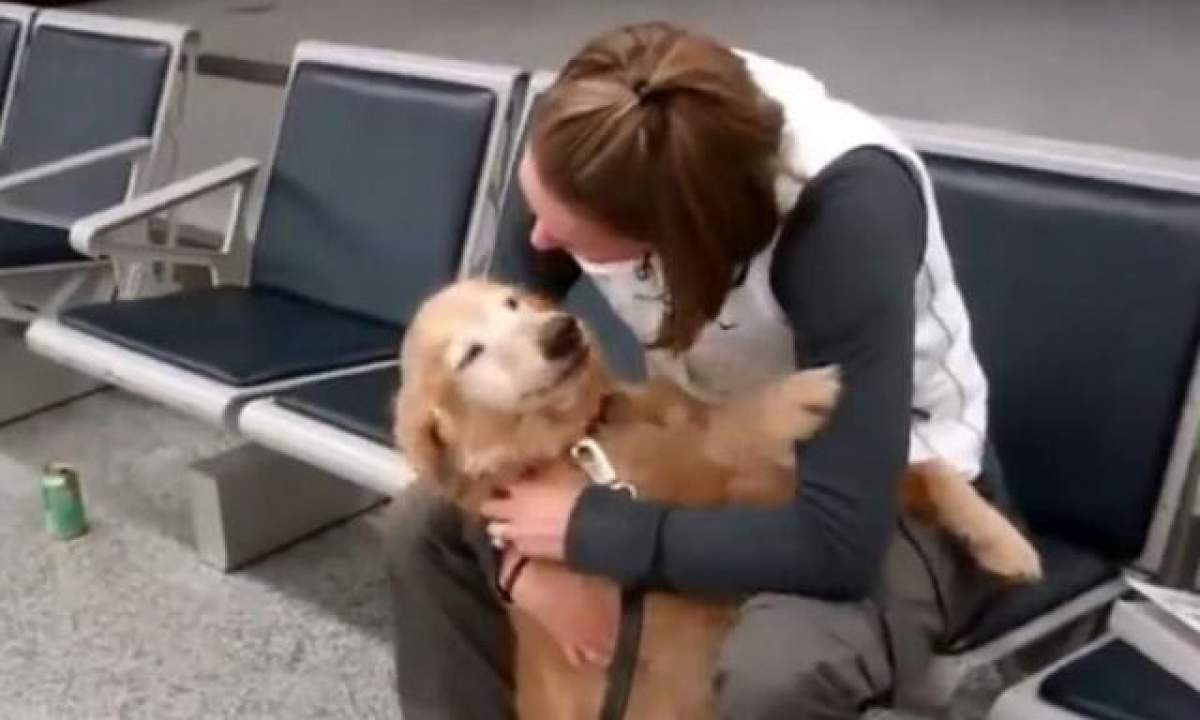 VIDEO EMOŢIONANT! Reacţia incredibilă a unui câine atunci când şi-a văzut stăpâna întoarsă de pe front! A "plâns" mai ceva ca un om