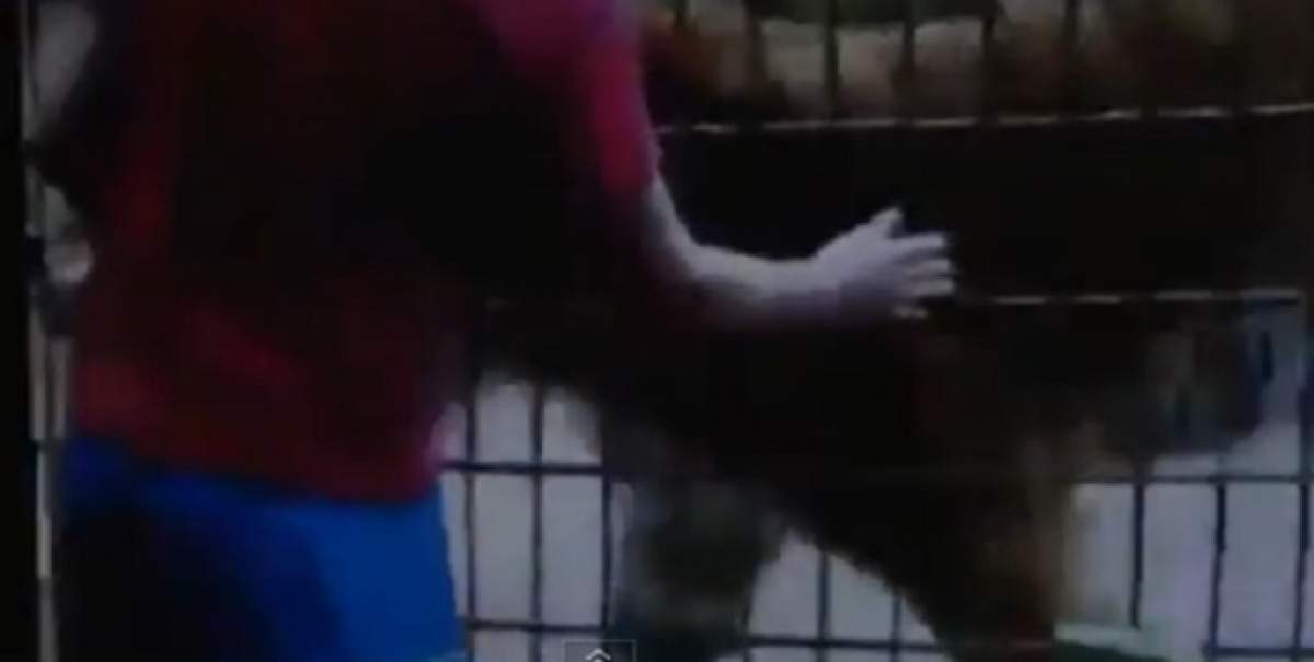 VIDEO/ Înfirorător! Un copil a fost mâncat de tigru la o grădină zoologică: "O să mor"