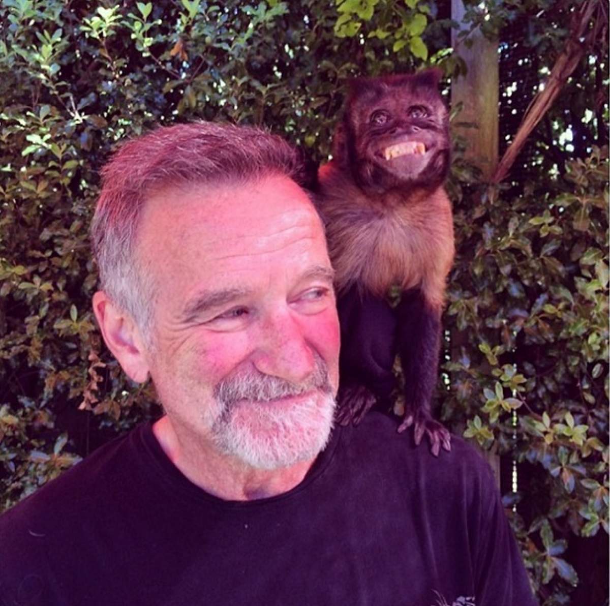 Familia a făcut anunţul! Iată unde va avea loc înmormântarea lui Robin Williams!