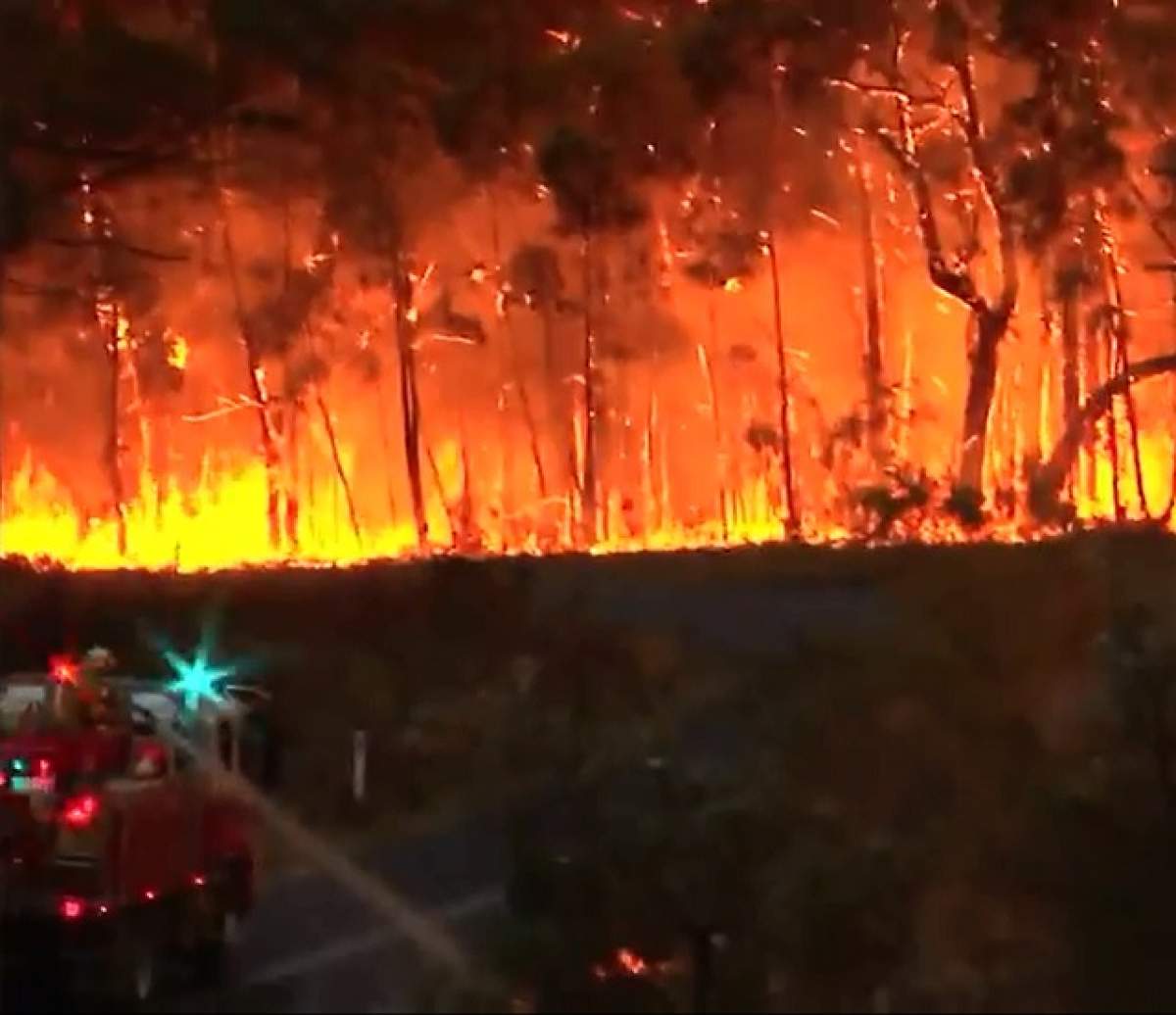 Motivul incredibil pentru care o tânără a provocat un incendiu MASIV