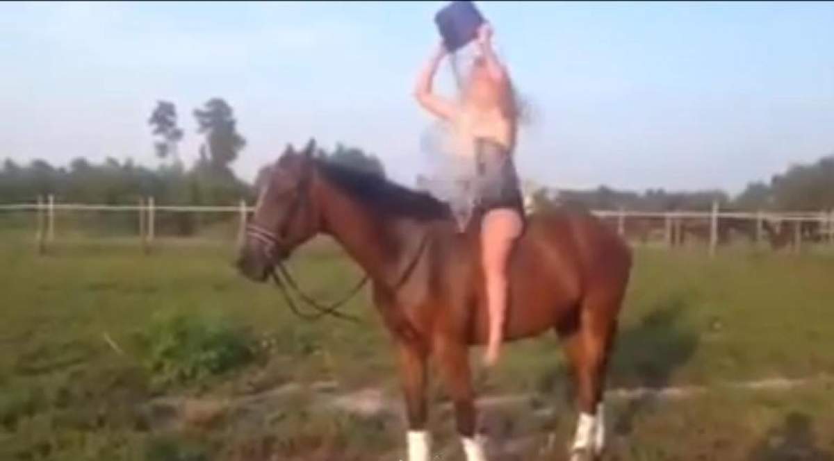 VIDEO FUNNY / Ce se întâmplă când faci Ice Bucket Challenge pe cal?