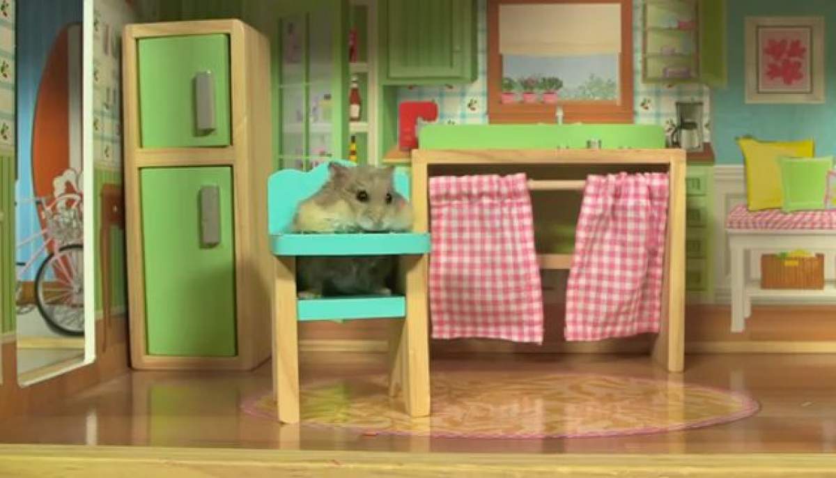 VIDEO / El este cel mai alintat hamster din lume! Are propria lui vilă!