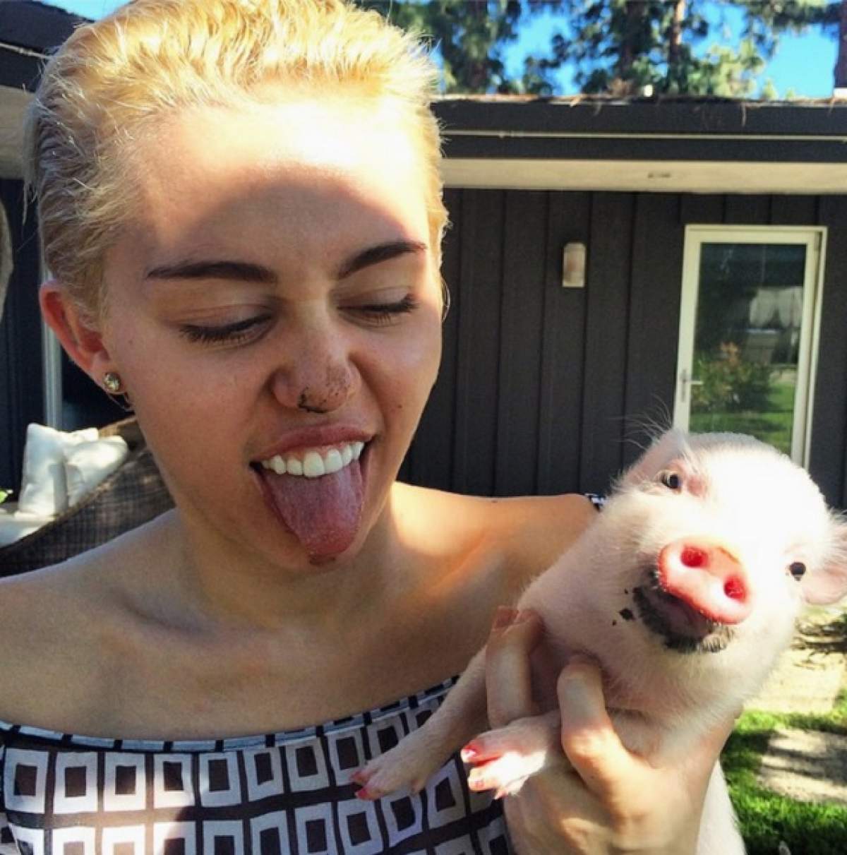 Miley Cyrus a apărut complet GOALĂ  într-o revistă! Iată în ce poziţie a pozat