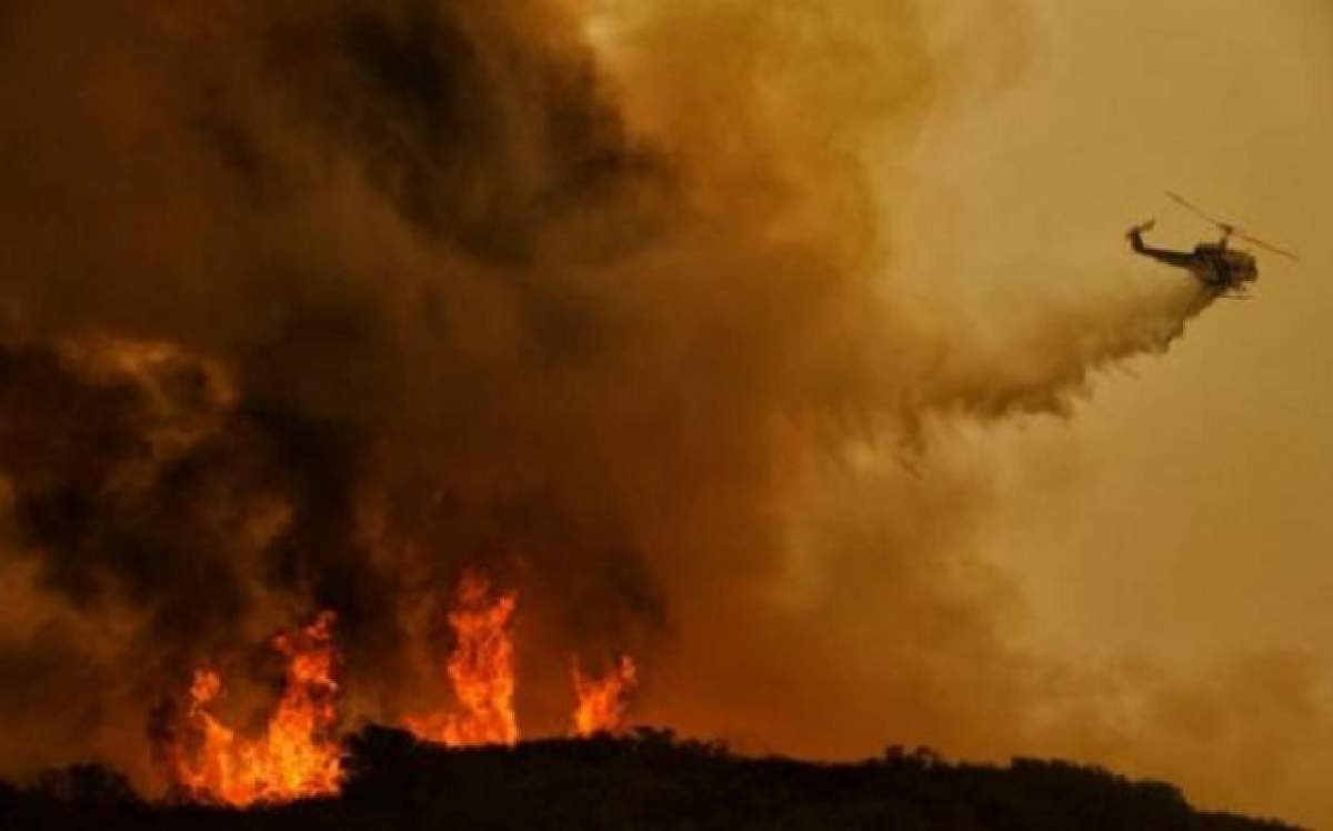 Trafic deviat pe Autostrada Soarelui! Un incendiu de proporţii a paralizat circulaţia