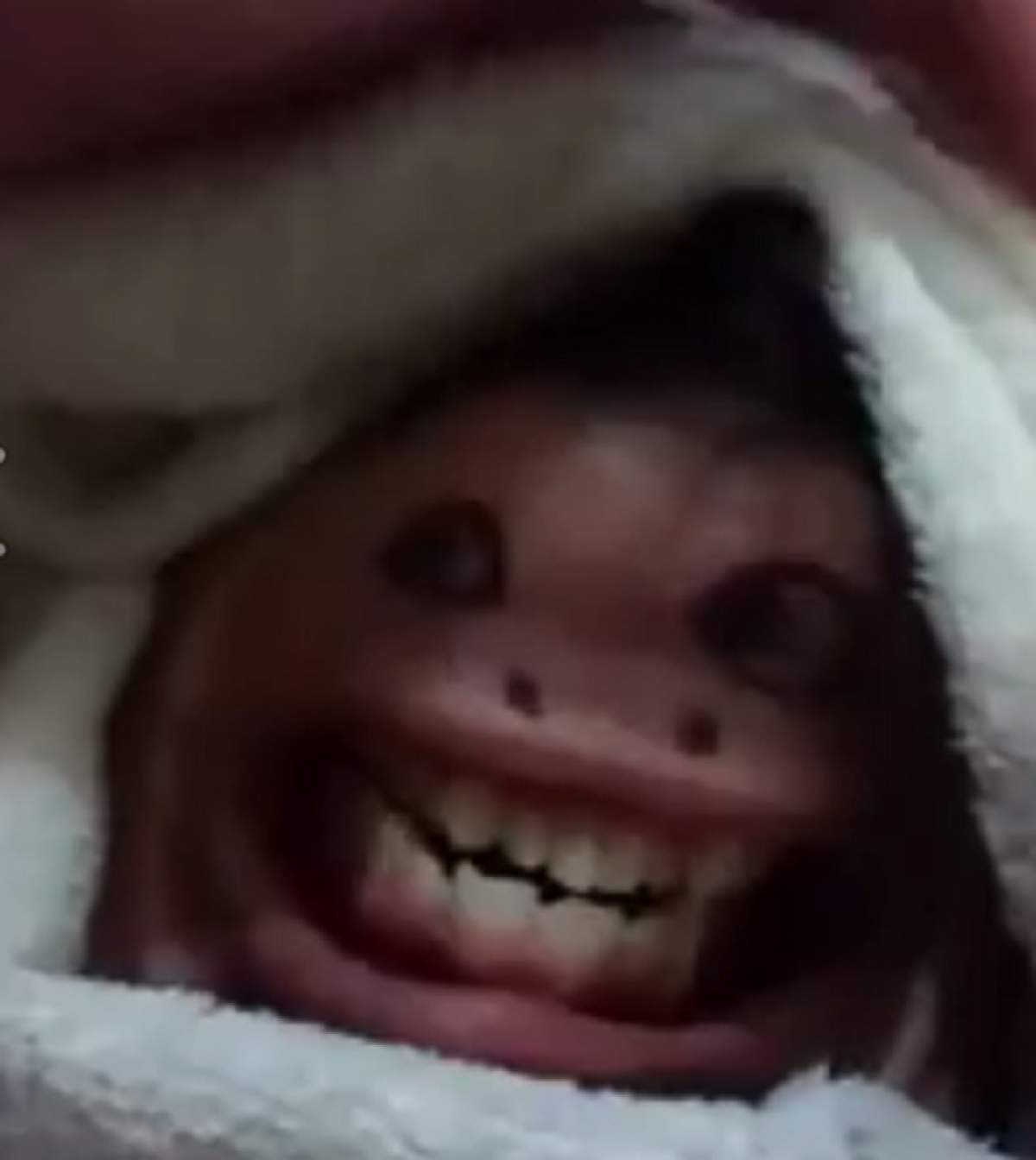 VIDEO / Râzi cu lacrimi! Cum arată cea mai haioasă maimuţică