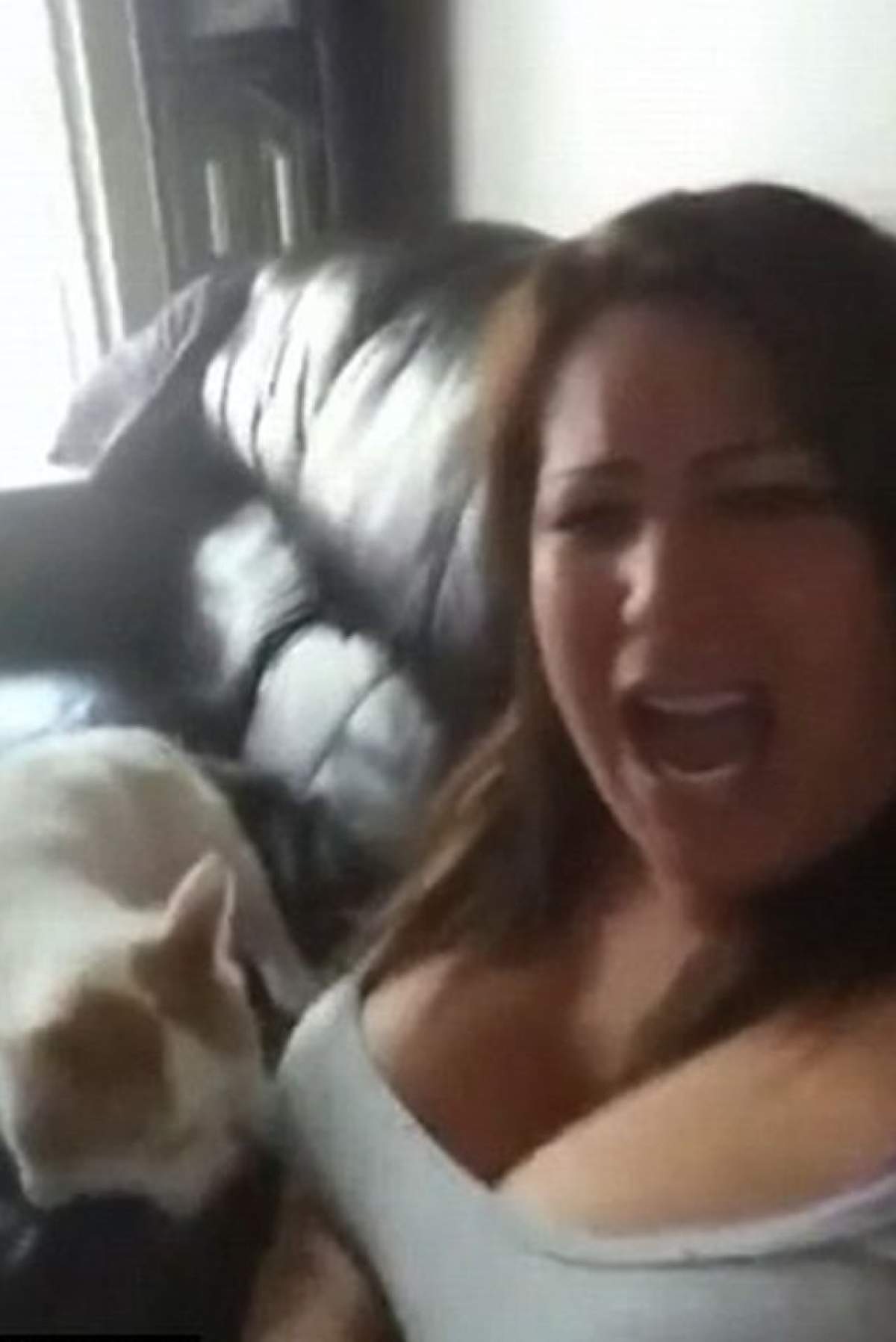 VIDEO Pisică rea! O femeie a fost muşcată de sâni de o felină furioasă
