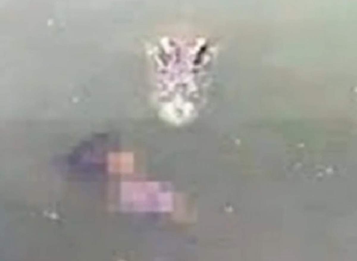 VIDEO / S-a aruncat într-un lac cu 1.000 de crocodili, iar momentul a fost filmat!  Încremeneşti când vezi continuarea