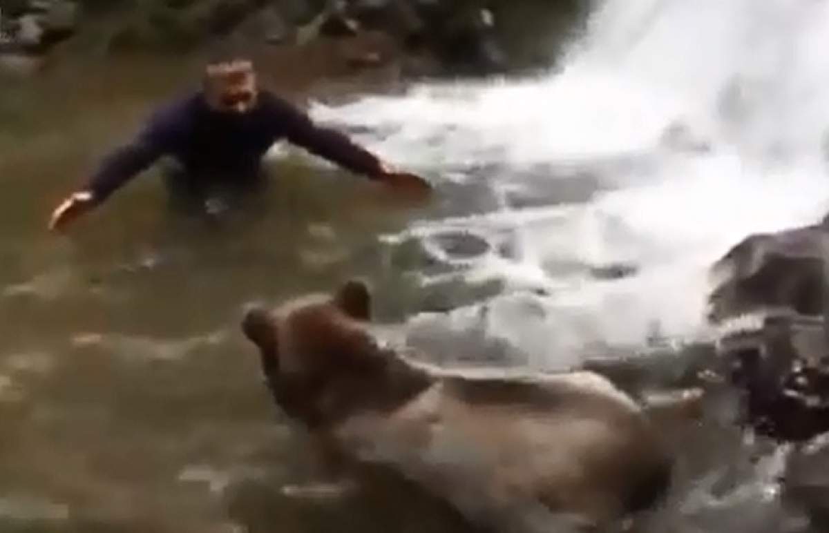 VIDEO/ Când prietenia depăşeşte orice graniţă! Ce fac un bărbat şi un urs în apă