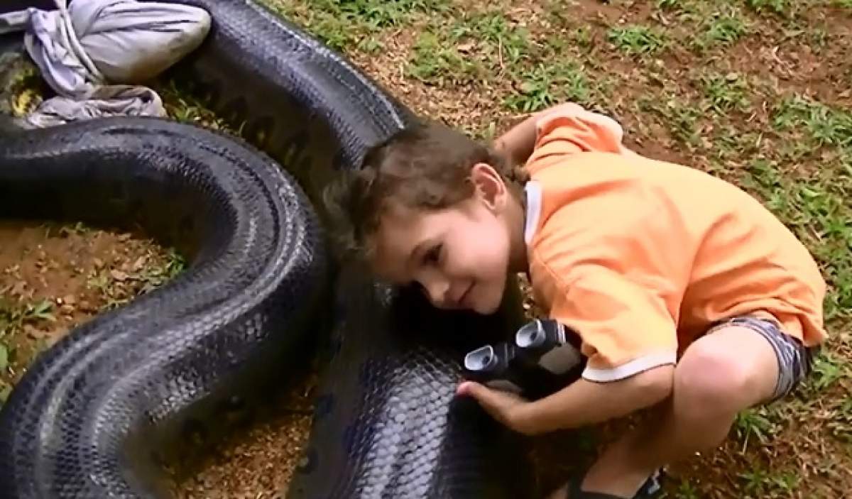 VIDEO/ Gest şocant! A prins un anaconda de cinci metri şi l-a dat copiilor să se joace cu el!