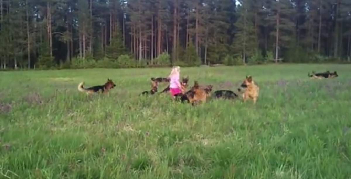 VIDEO / Ce se întâmplă cu fetiţa de cinci ani, lăsată singură cu 14 ciobăneşti germani!