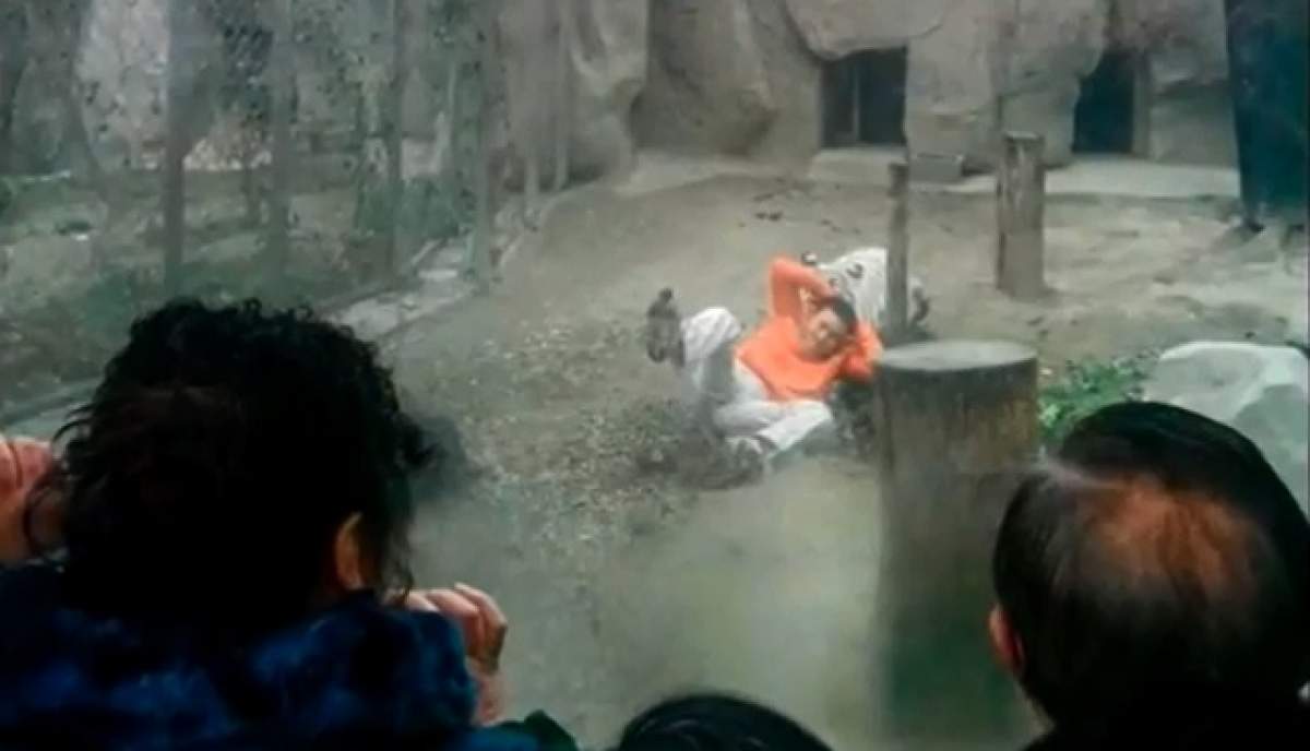 VIDEO / Scene de groază la o GRĂDINA ZOOLOGICĂ! Un băiat a fost sfâşiat de un tigru în văzul tuturor