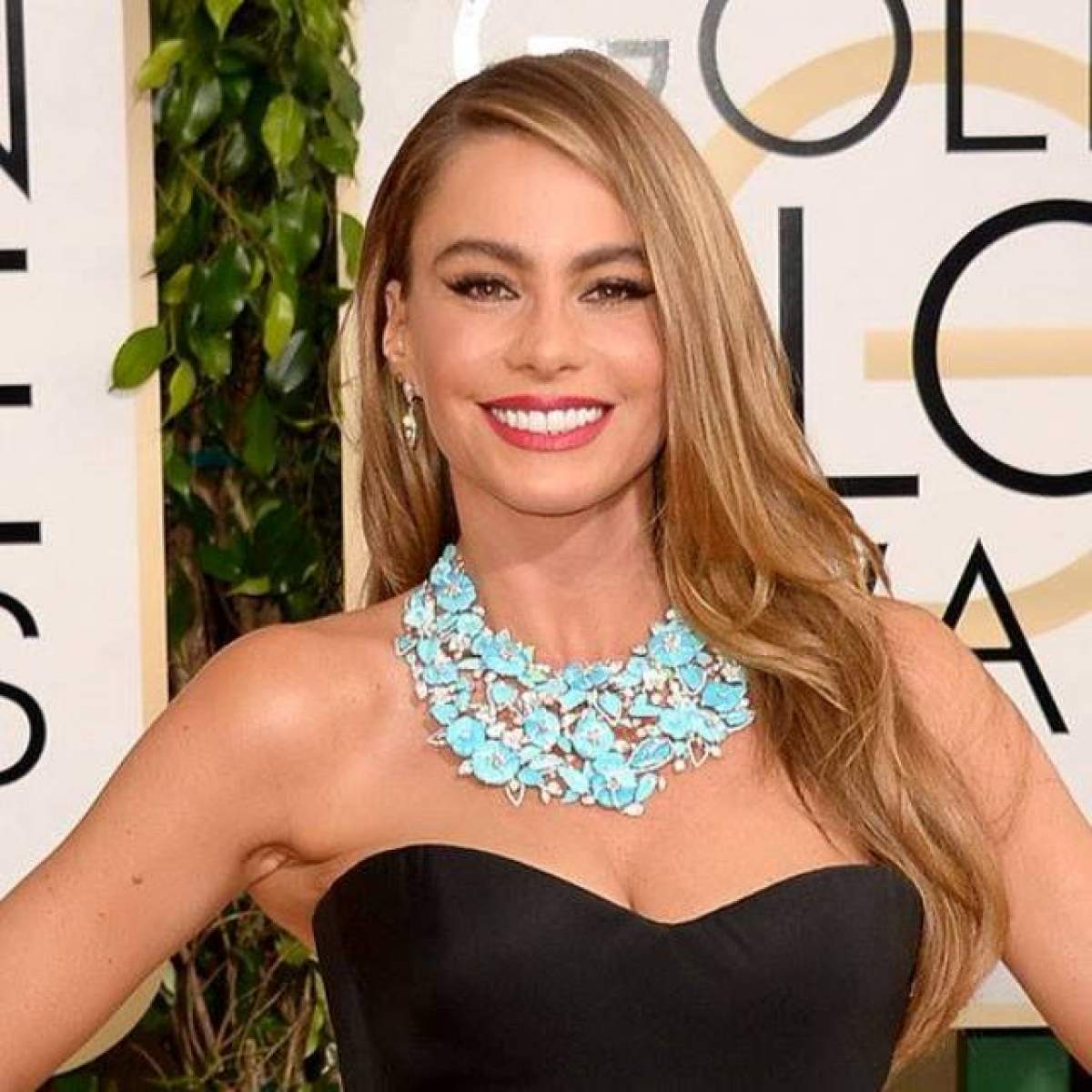 Sofia Vergara, actriţa cel mai bine plătită din America! A câştigat 37 de milioane de dolari