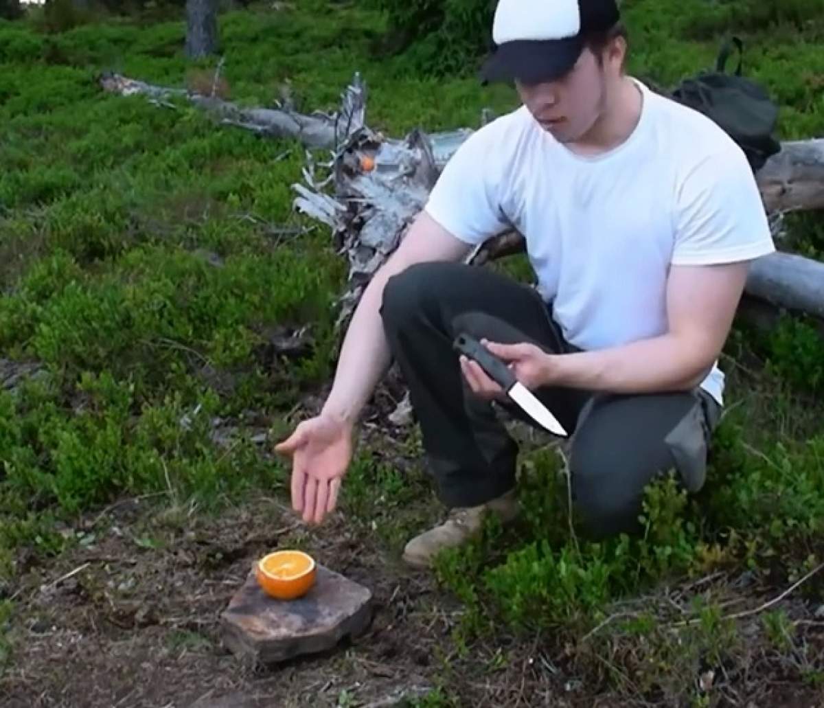 VIDEO / Cum să coci o prăjitură folosind doar o portocală