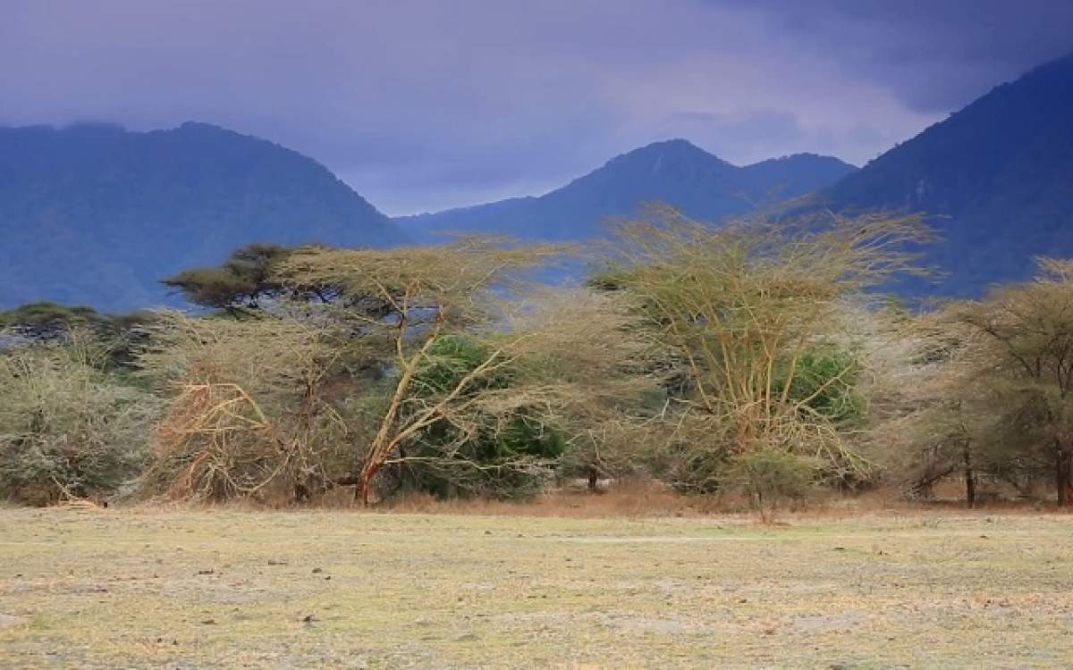 Descoperire INCREDIBILĂ în Tanzania! Este uriaș