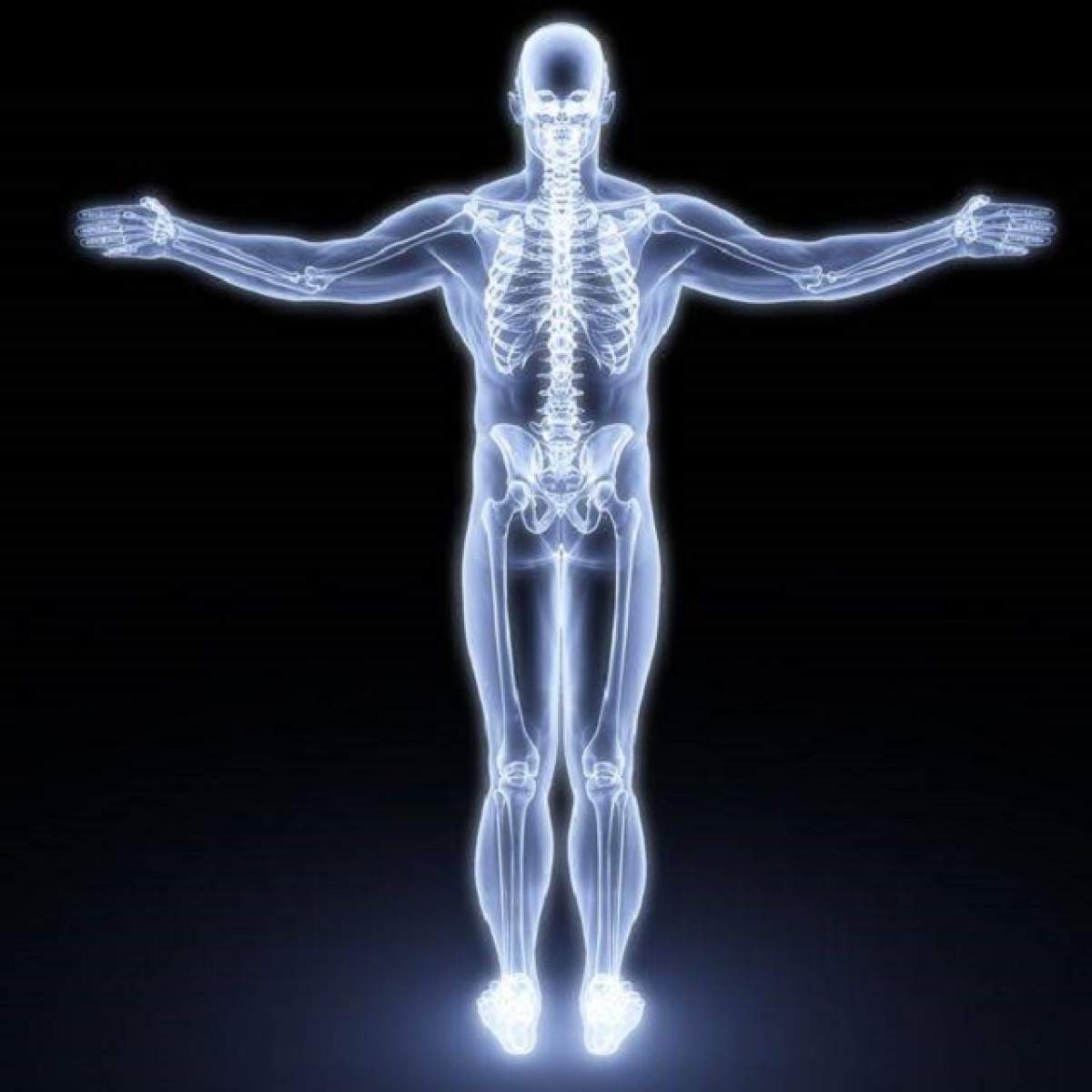 ÎNTREBAREA ZILEI - DUMINICĂ: Care este cel mai lung organ din corpul omenesc?