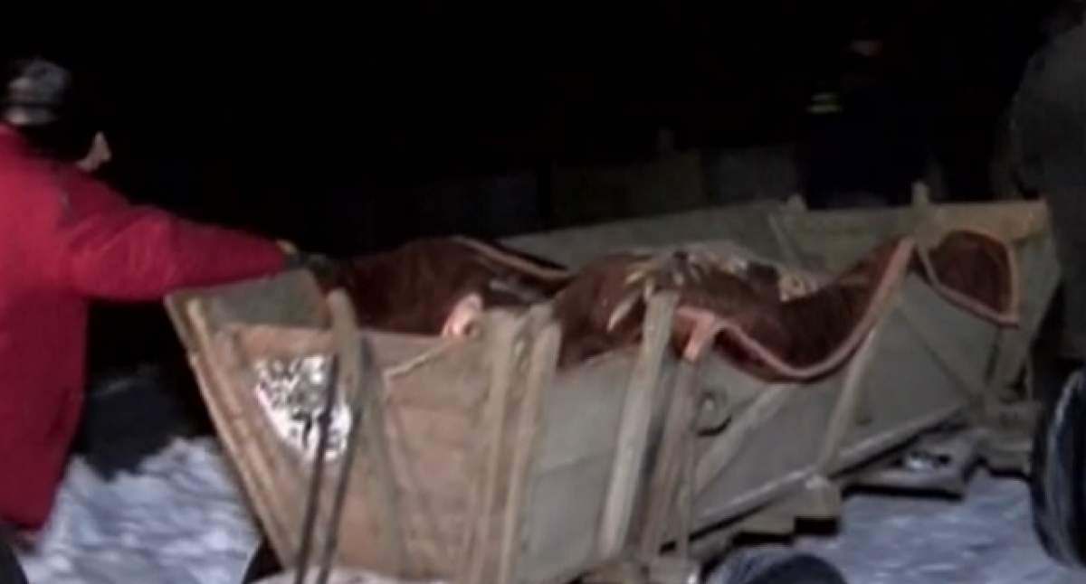 VIDEO / Tragedie în Vaslui! Cinci oameni au murit intoxicaţi cu dioxid de carbon