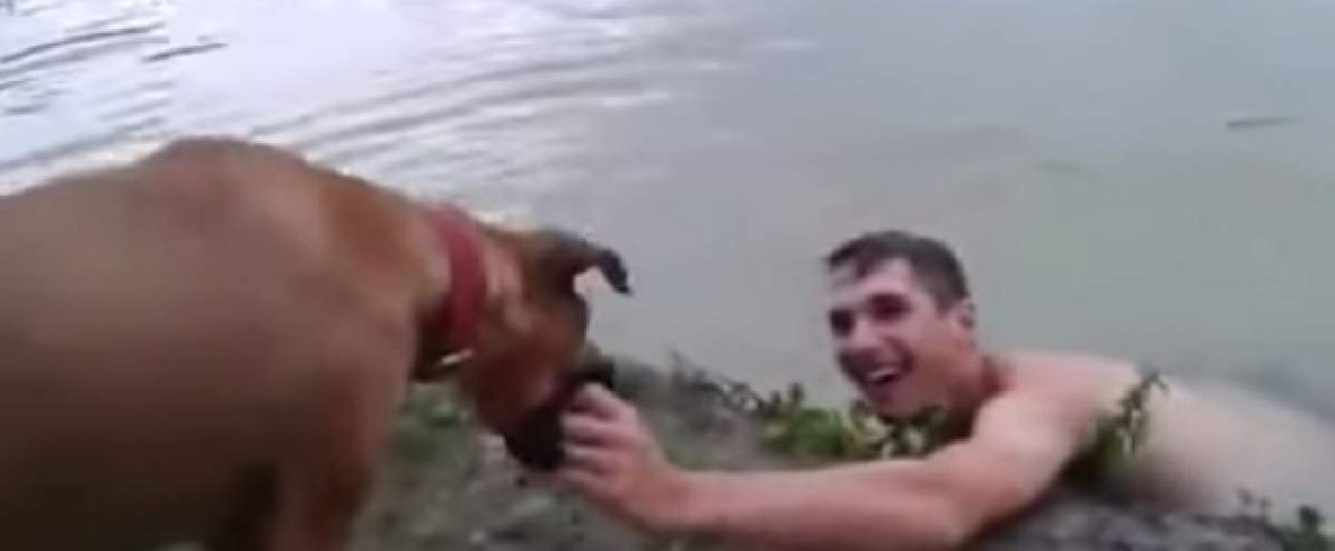 VIDEO /  Cum a reacţionat un câine atunci când şi-a văzut stăpânul pe cale să se înece?