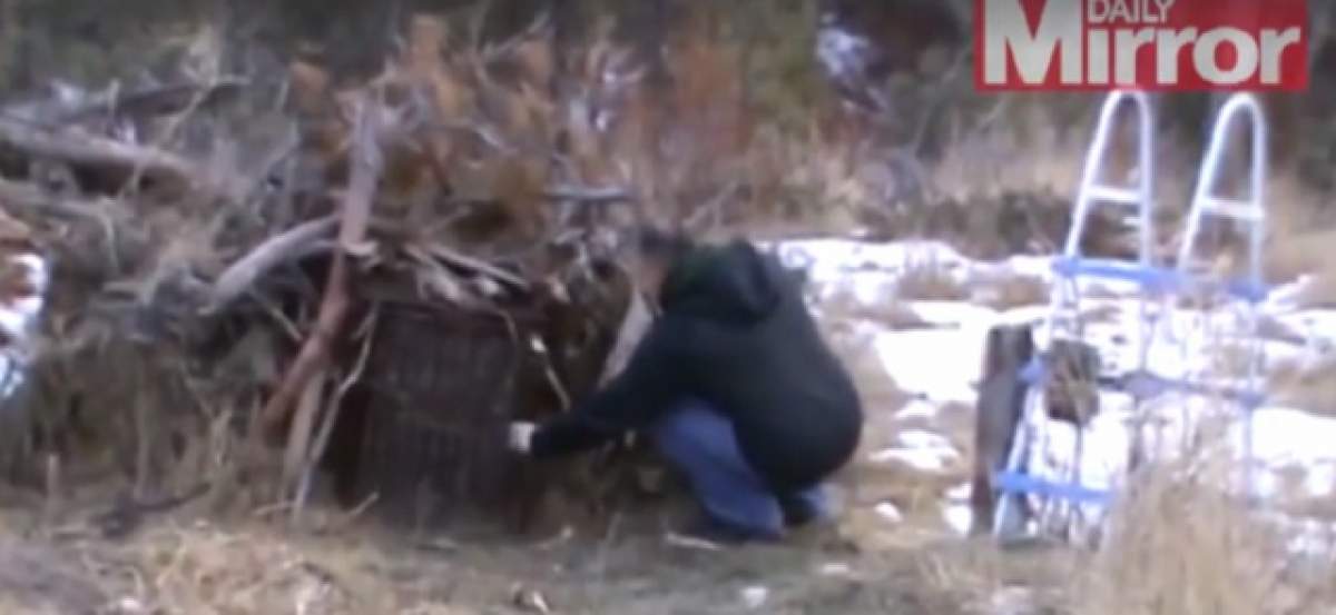 VIDEO /  ŞOCANT! Ce a găsit un bărbat într-o capcană pentru vulpi! Viaţa i-a fost pusă în pericol