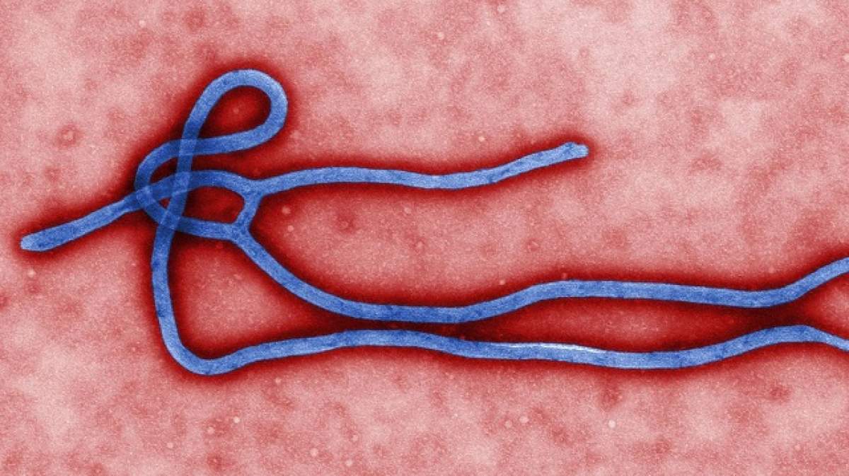 O asistentă medicală s-a infectat cu EBOLA după ce s-a inţepat cu un ac de SERINGĂ