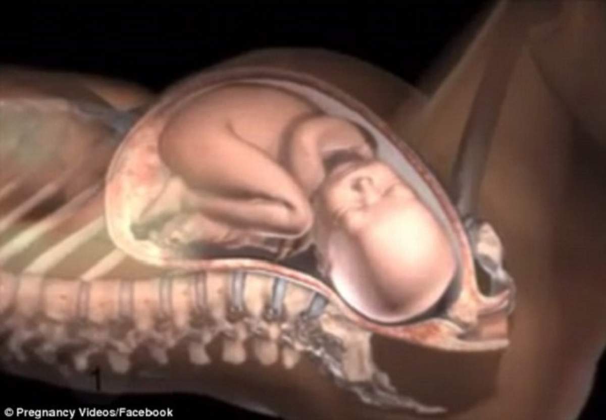 VIDEO / Imagini incredibile! Ce se întâmplă în corpul unei femei în momentul în care naşte