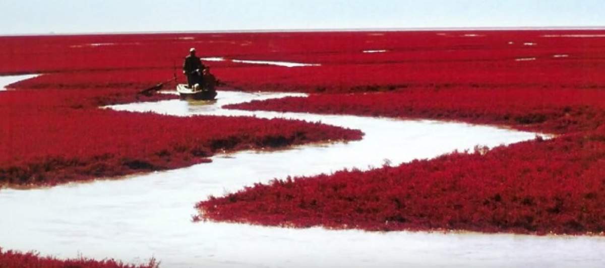 Un lac s-a transformat din verde în roşu, peste noapte. FENOMENUL RAR despre care TOATĂ LUMEA vorbeşte