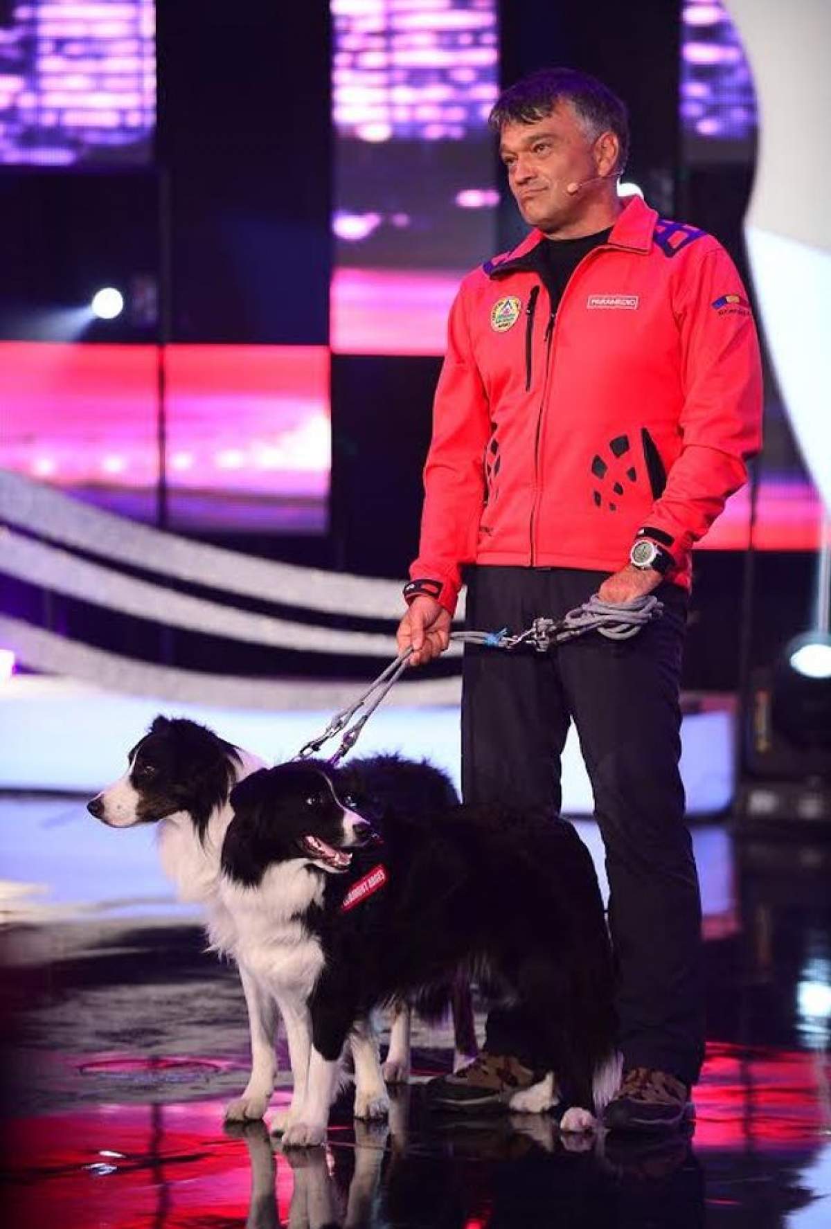 Poveste emoţionantă la "Ham Talent"! Helios,  primul câine din țară antrenat să găsească victimele avalanșelor