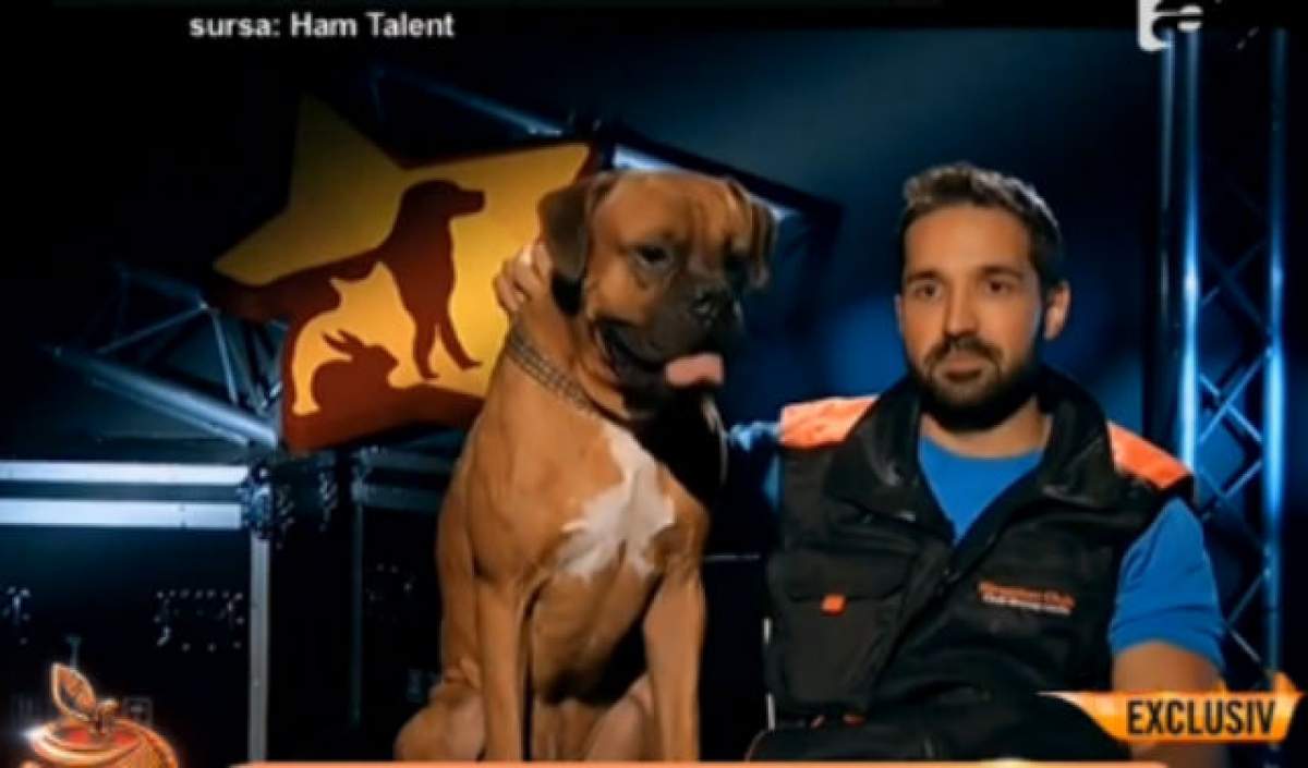VIDEO / Fosta iubită a lui Tuddy detonează bomba! Abia acum s-a aflat provenienţa câinelului cu care a participat la "Ham Talent"