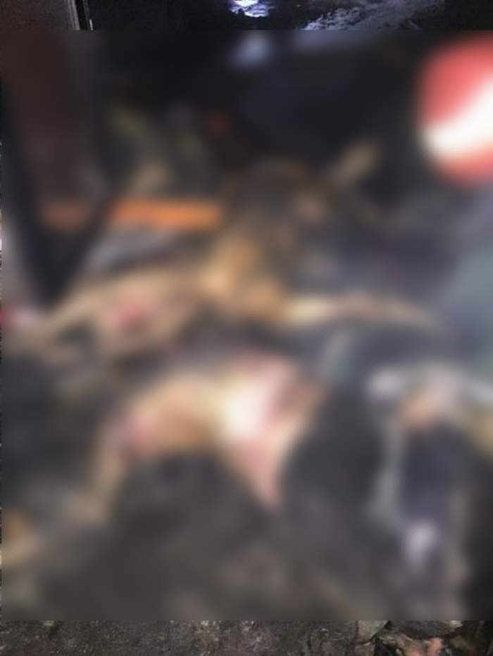 VIDEO / GREU DE PRIVIT! Imaginile groazei din interiorul clubului incendiat