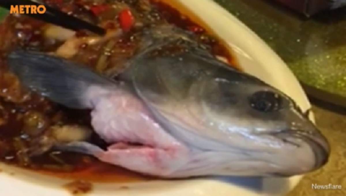 VIDEO / HORROR! Cum să păţeşti aşa ceva? A gătit un peşte, însă ce s-a întâmplat când l-a pus în farfurie a făcut înconjurul lumii