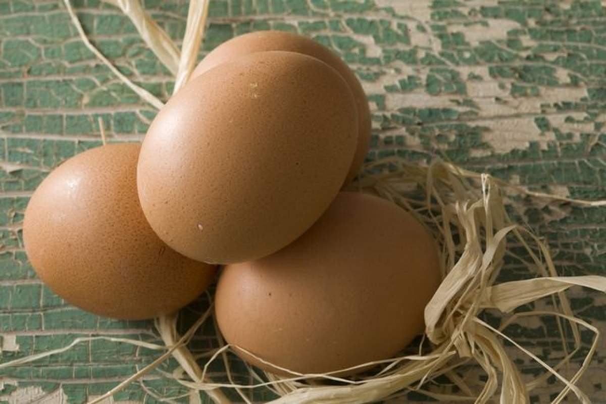 ÎNTREBAREA ZILEI - JOI: Cum îți dai seama că ouăle cumpărate sunt de la o găină bolnavă?