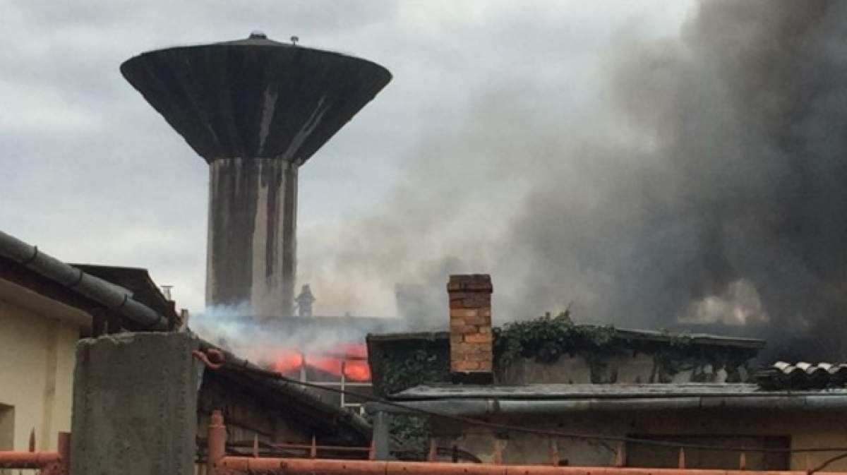 VIDEO / Incendiu devastator în Oradea! Fumul a fost resimțit în tot orașul!