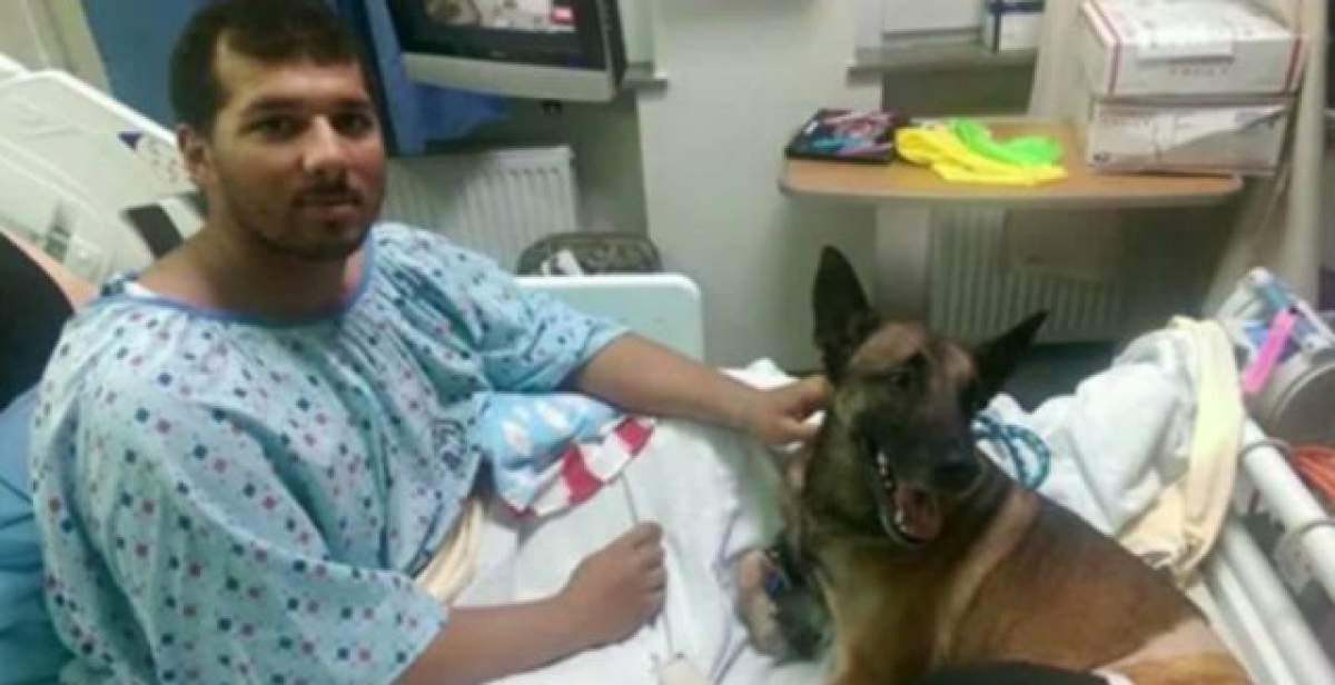 VIDEO EMOŢIONANT / Un soldat şi câinele lui, nedespărţiţi şi pe patul de spital