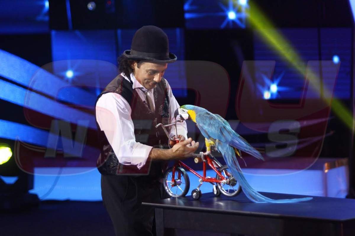 FOTO / Bătaie crâncenă pe locurile din finala "Ham Talent"! Cine sunt cele mai talentate animale care au intrat în lupta pentru titlu