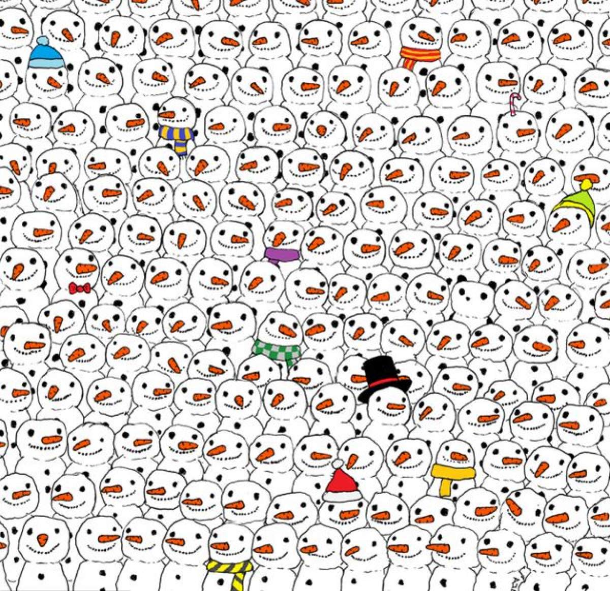 Puzzle-ul care a ajuns viral pe internet. Punem pariu că nu o să îi rezolvaţi! Unde este ursul panda în această imagine?