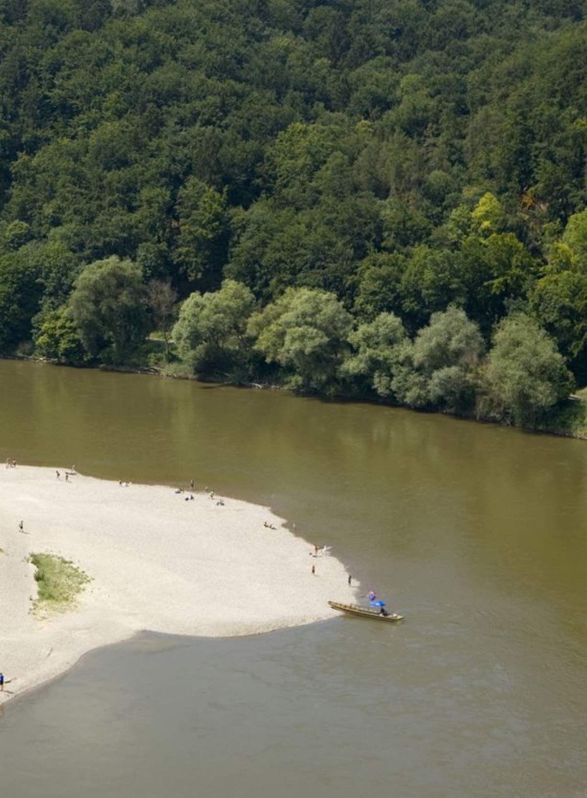 Toţi au crezut că a vrut să se sinucidă, dar au rămas şocaţi când a ieşit din apă! Bărbatul făcuse o descoperire uluitoare!